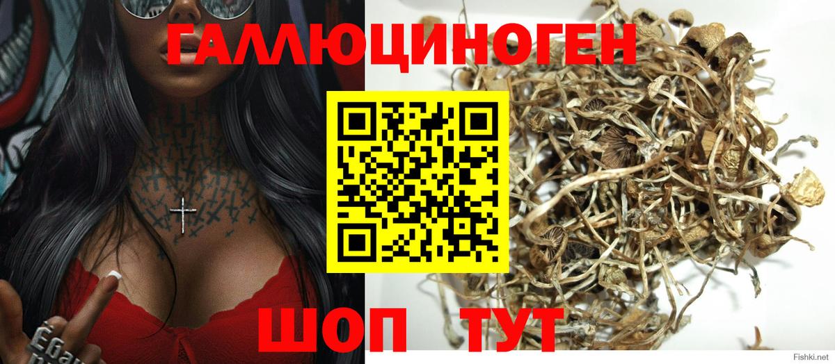 Отрадное  Псилоцибиновые грибы ЛСД  Вход с VPN 